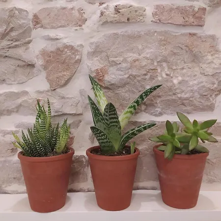 Antique - Center Διαμέρισμα *