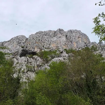 Antique - Center Διαμέρισμα *