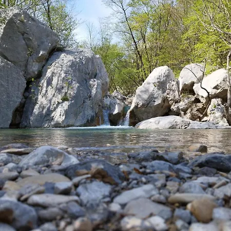 Antique - Center * Ζαντάρ